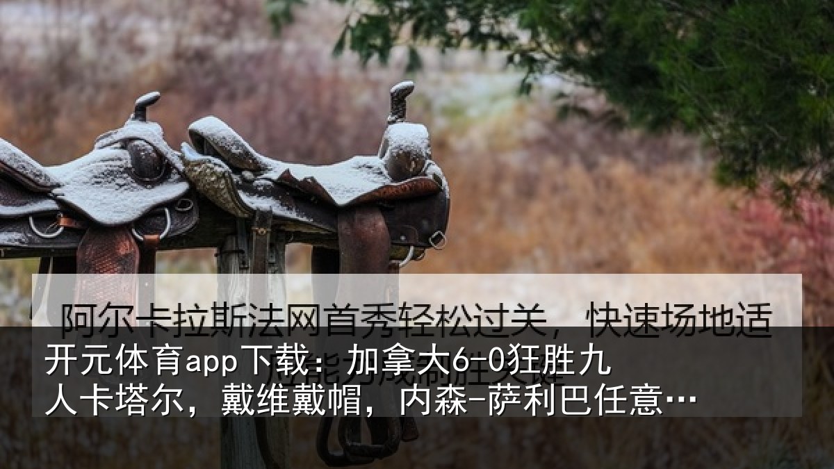 开元体育app下载：加拿相关情况，戴维相关情况意球破门