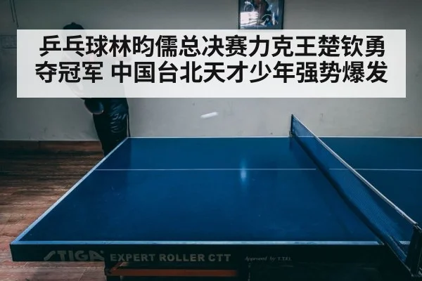 乒乓球林昀儒总决赛力克王楚钦勇夺冠军 中国台北天才少年强势爆发