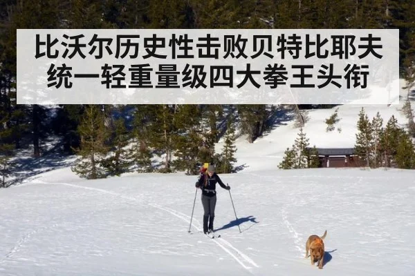 比沃尔历史性击败贝特比耶夫统一轻重量级四大拳王头衔